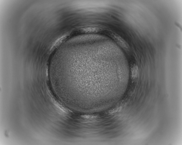 X0000096480733200802071919