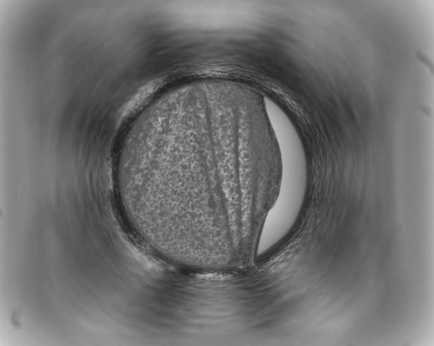 X0000096480734200802071919