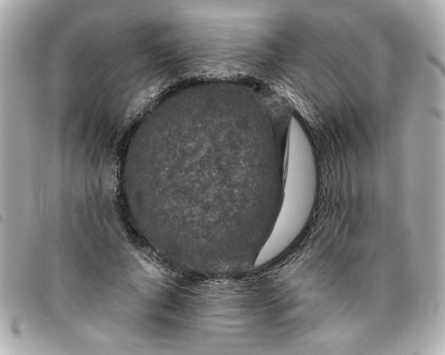 X0000096480736200802071919