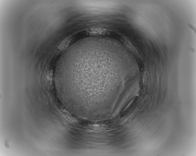 X0000096480737200802071919