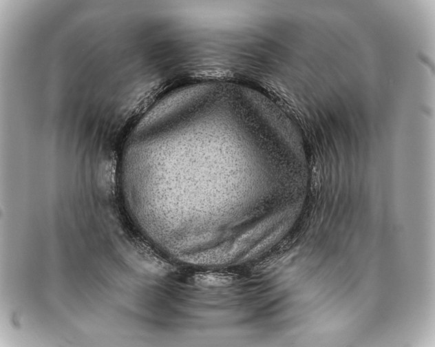 X0000096480739200802071919