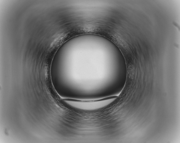 X0000096480740200802071919