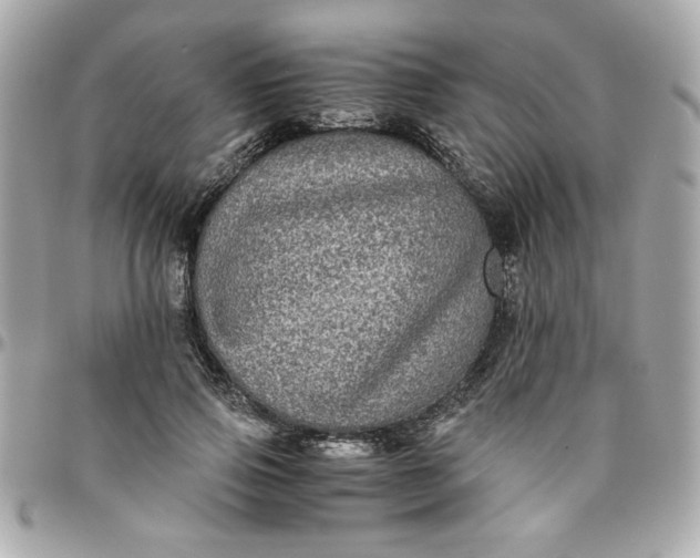 X0000096480741200802071919