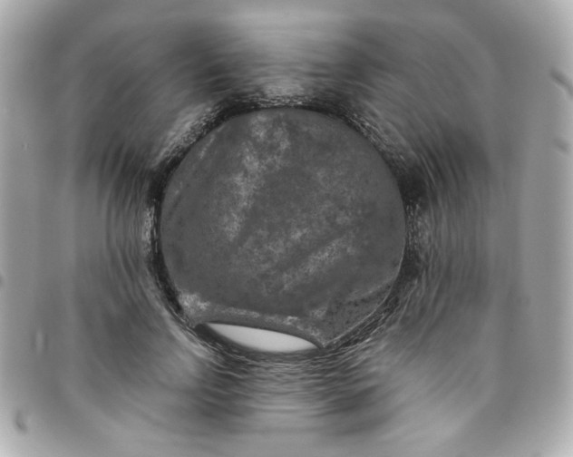 X0000096480742200802071919