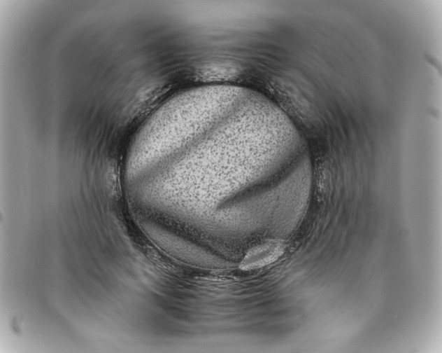 X0000096480743200802071919