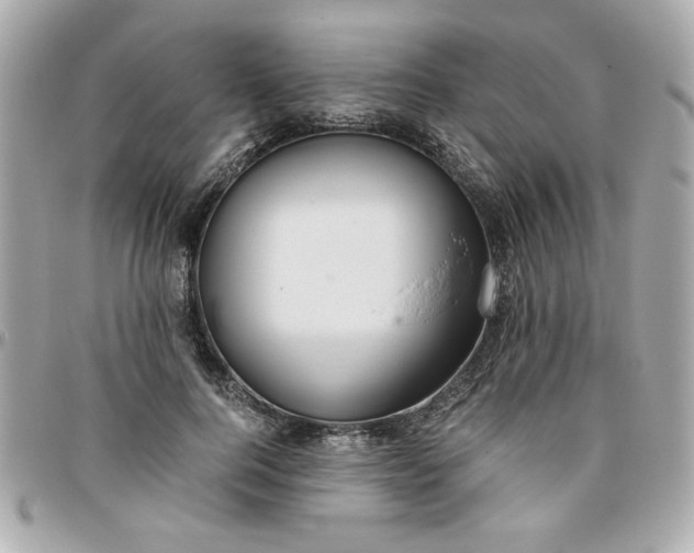 X0000096480744200802071919