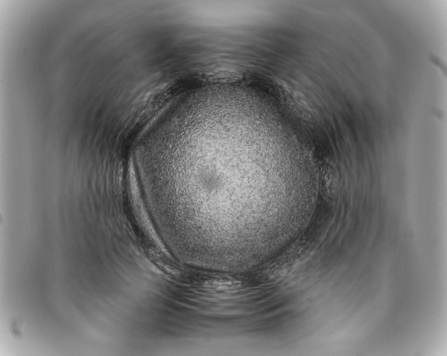 X0000096480745200802071919