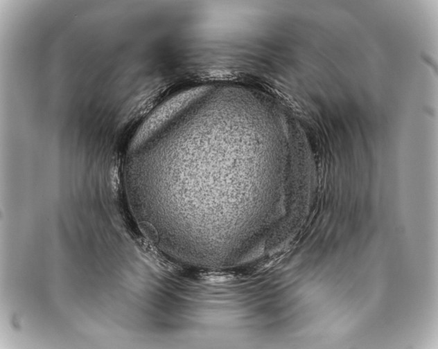 X0000096480746200802071919