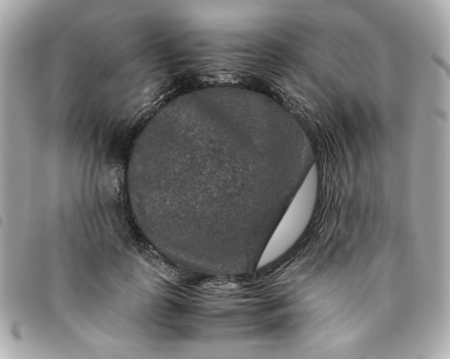 X0000096480747200802071919