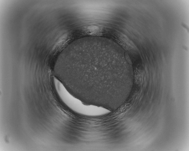 X0000096480748200802071919