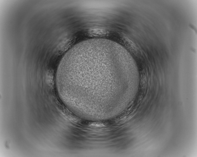 X0000096480749200802071919