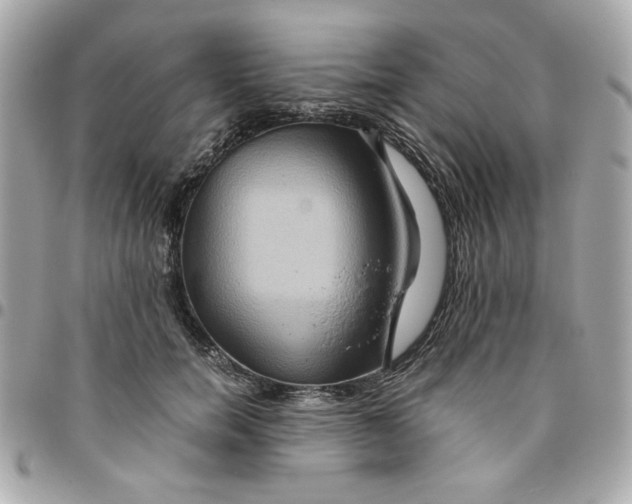 X0000096480750200802071919