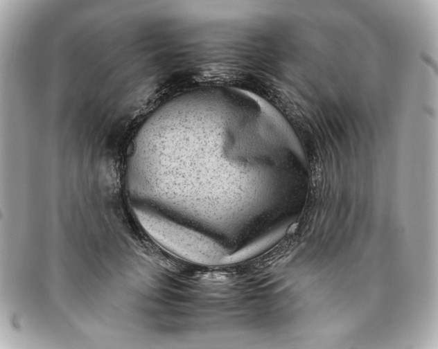 X0000096480751200802071919