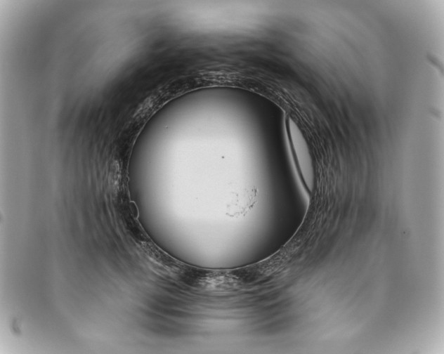 X0000096480752200802071919