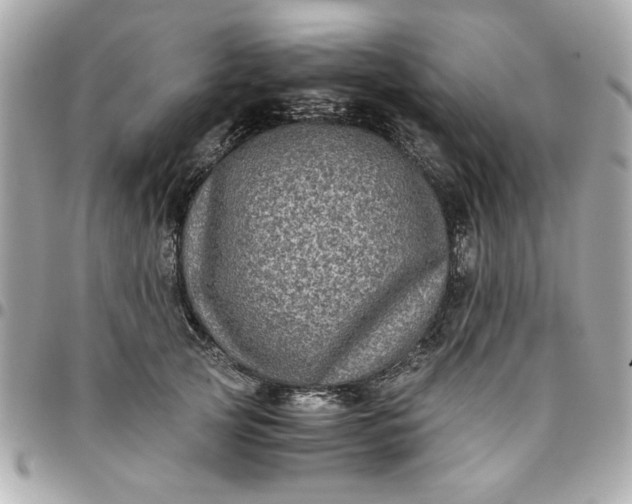 X0000096480753200802071919