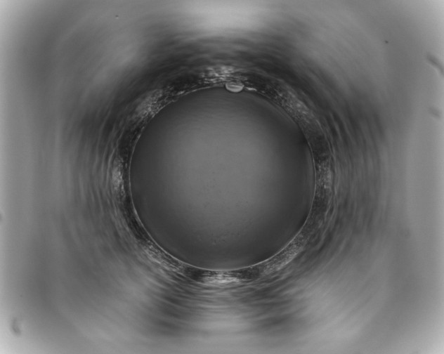 X0000096480754200802071919