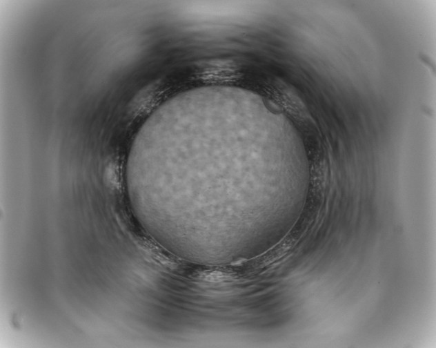 X0000096480755200802071920