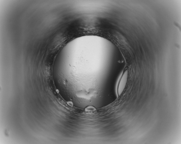 X0000096480756200802071920