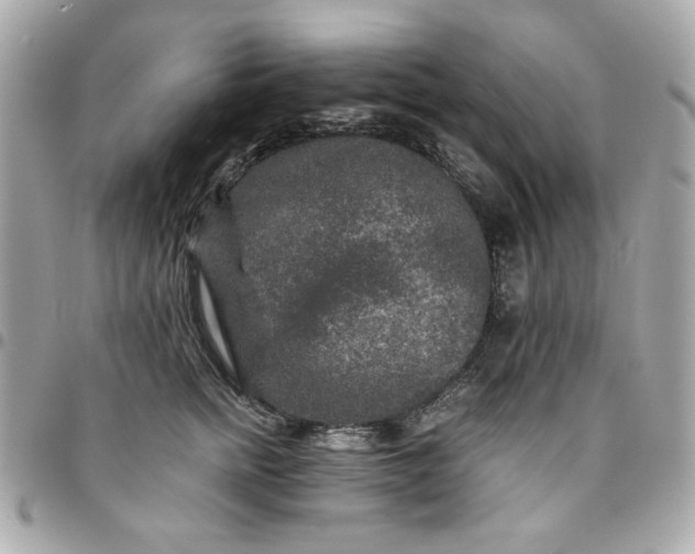 X0000096480758200802071920