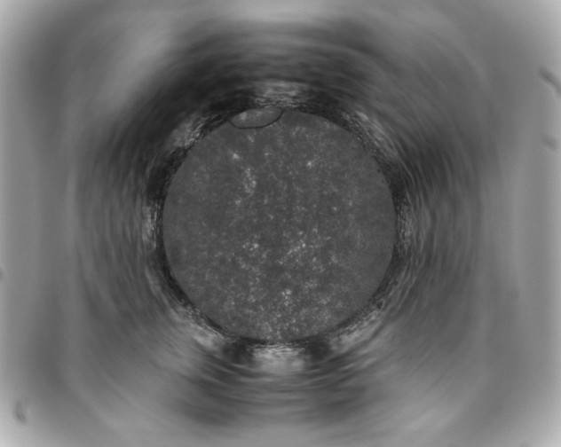 X0000096480759200802071920