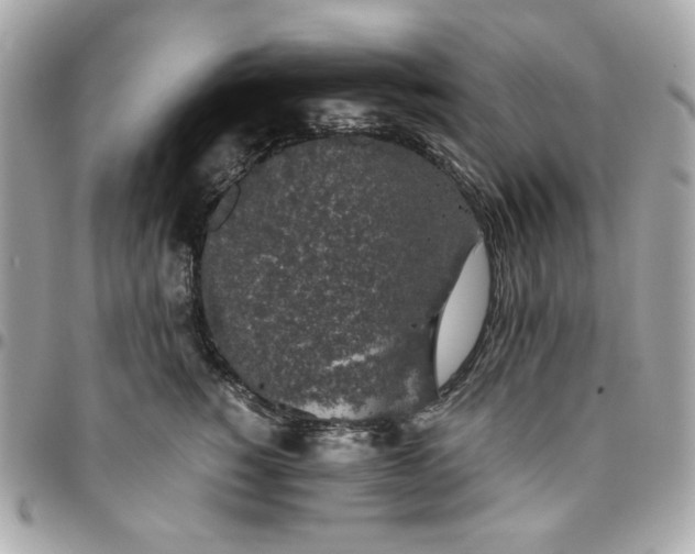 X0000096480760200802071920