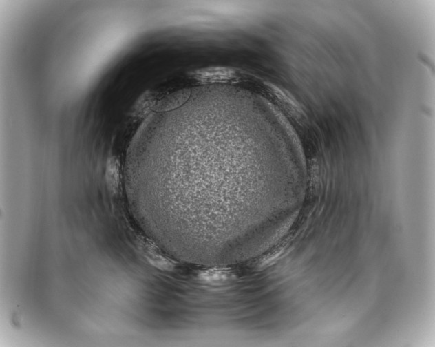 X0000096480761200802071920