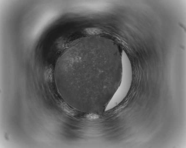 X0000096480762200802071920