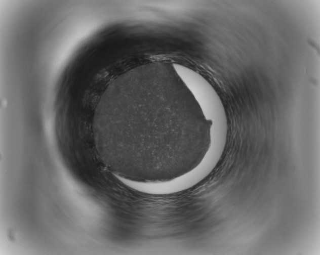 X0000096480763200802071920