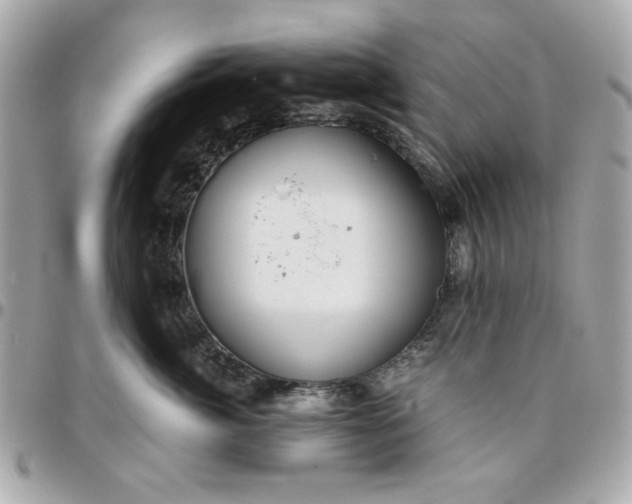 X0000096480764200802071920