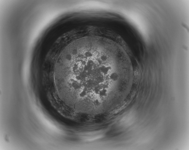 X0000096480765200802071920