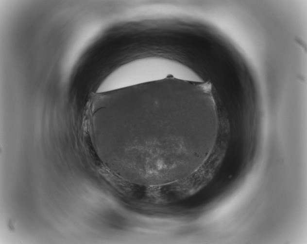 X0000096480766200802071920