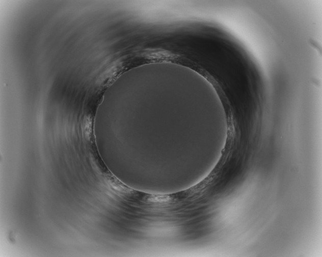 X0000096480767200802071920