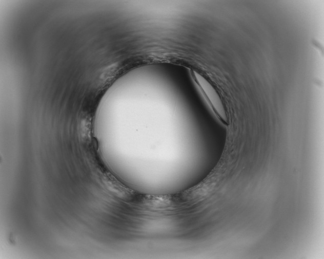 X0000096480768200802071920