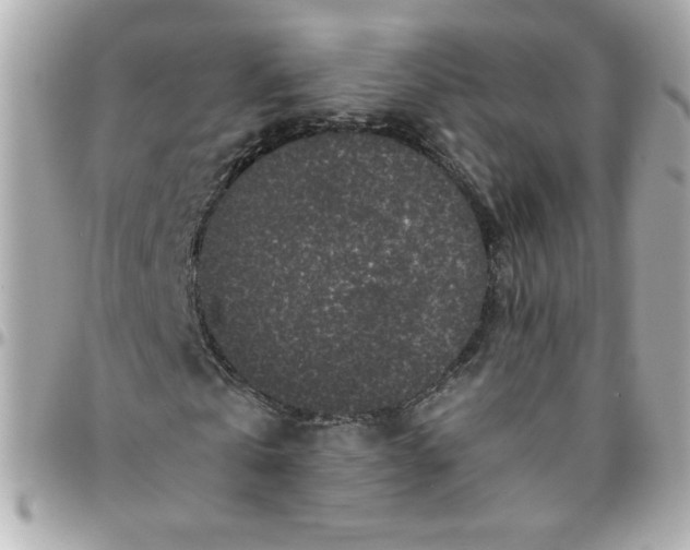 X0000096480769200802071919