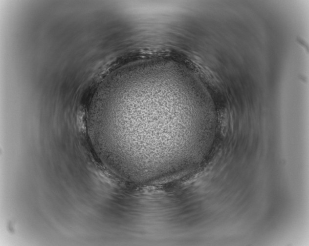 X0000096480770200802071919