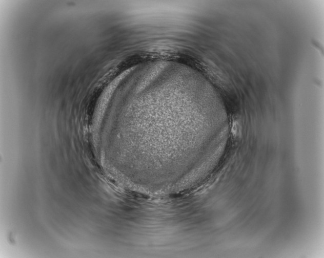 X0000096480771200802071919