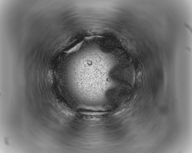 X0000096480772200802071919