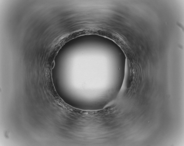 X0000096480773200802071919