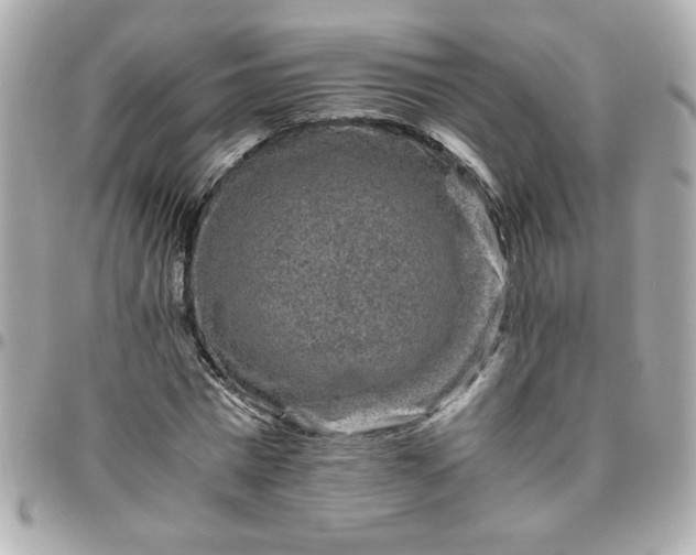 X0000096480777200802071919