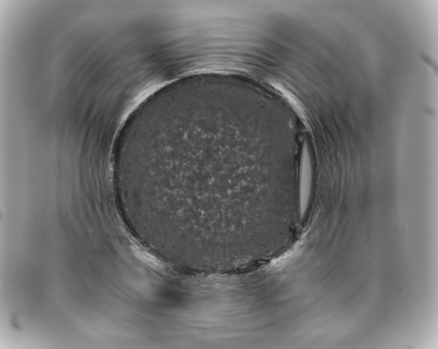 X0000096480779200802071919