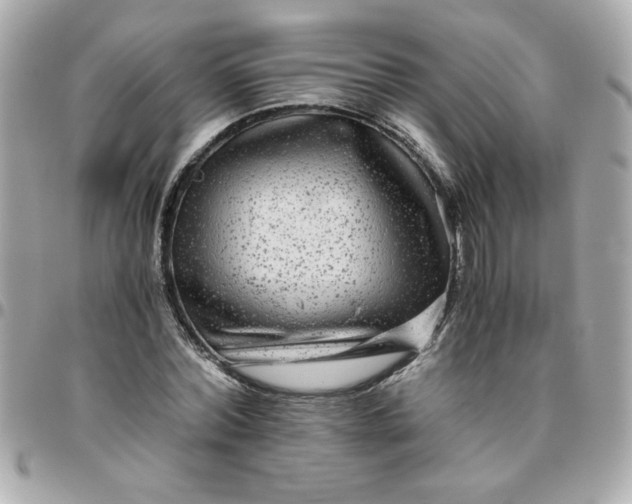 X0000096480780200802071919