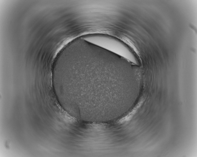 X0000096480781200802071919