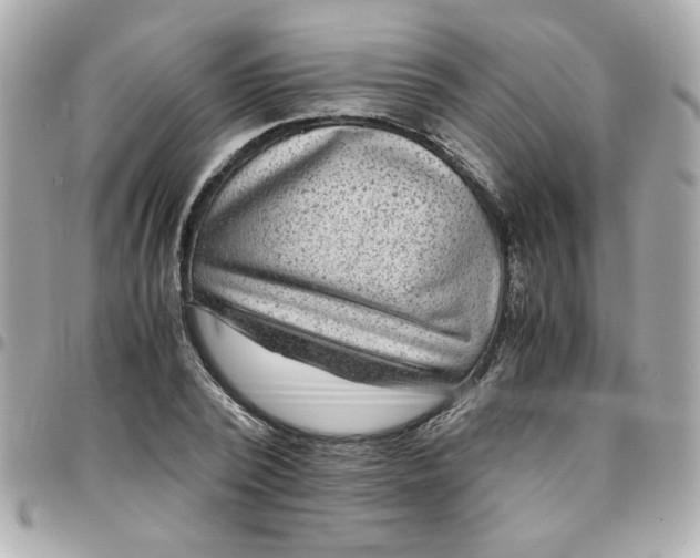 X0000096480784200802071919