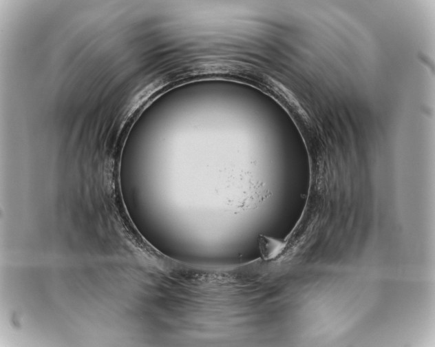 X0000096480786200802071919