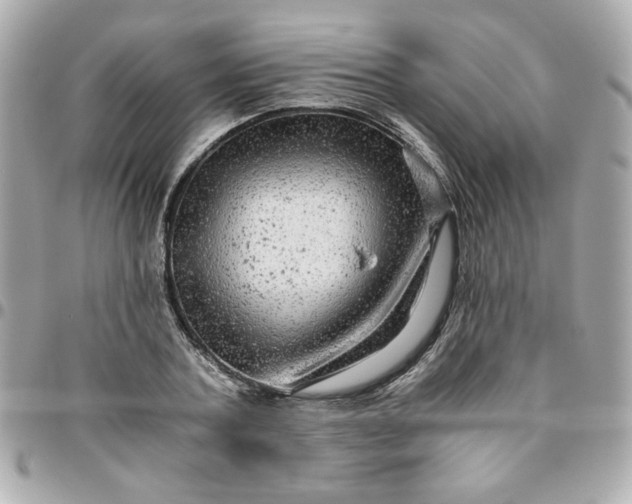 X0000096480787200802071919