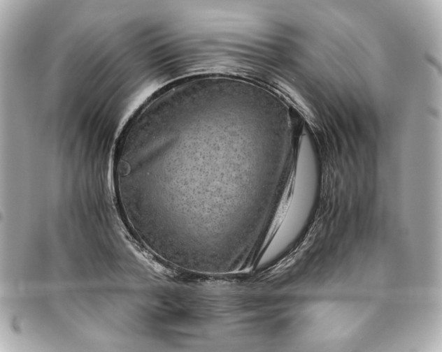 X0000096480788200802071919