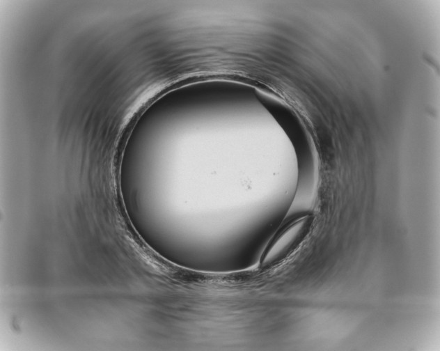 X0000096480789200802071919