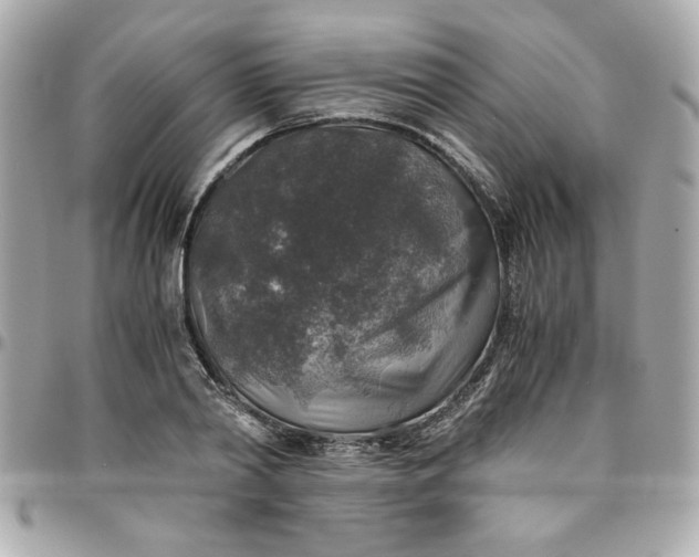 X0000096480790200802071919