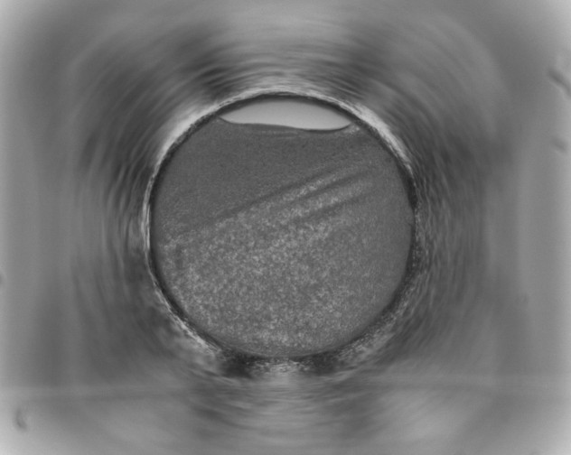 X0000096480791200802071919