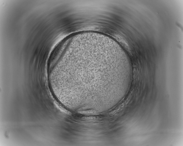 X0000096480792200802071918